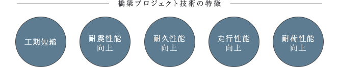 橋梁プロジェクト技術の特徴 【工期短縮】 【耐震性能向上】 【耐久性能向上】 【走行性能向上】 【耐荷性能向上】